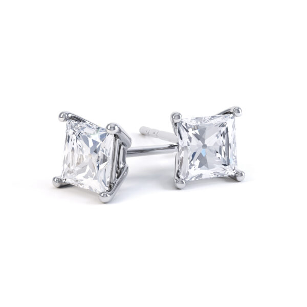 Stylish Ear Studs