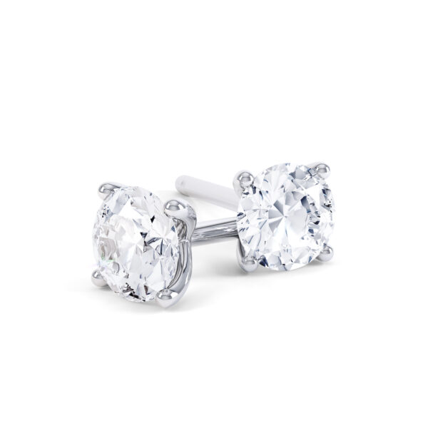 Beautiful Earstuds
